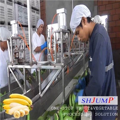 خط تجهيز هريس الموز