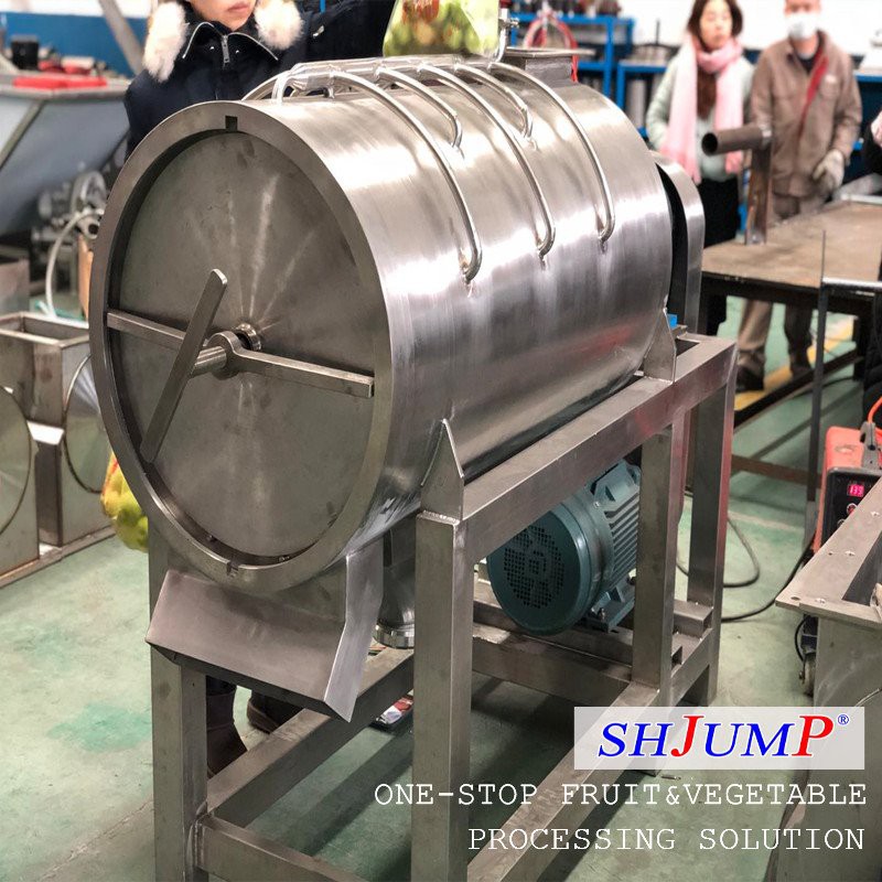 Fruit Destoning Machine