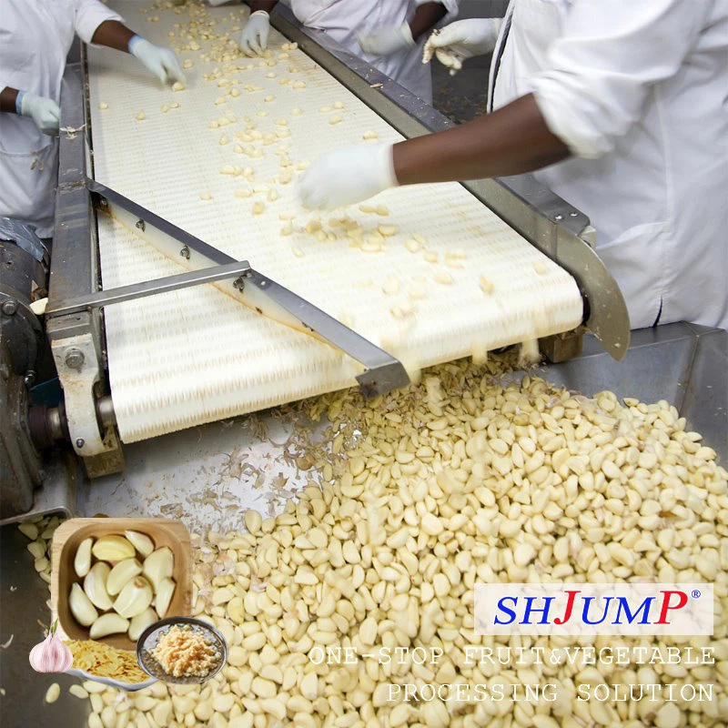 خط تجهيز الثوم