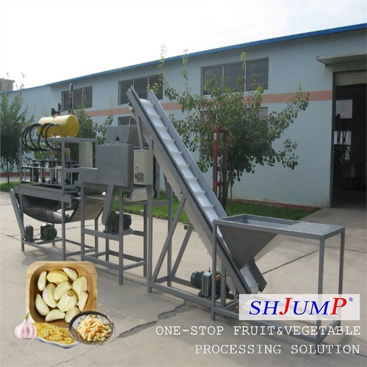Garlic Processing Line