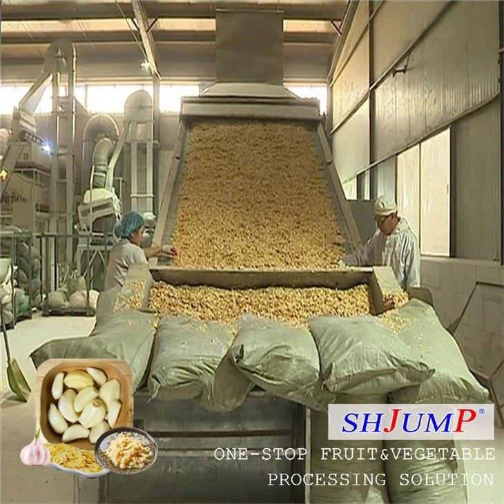 Garlic Processing Line