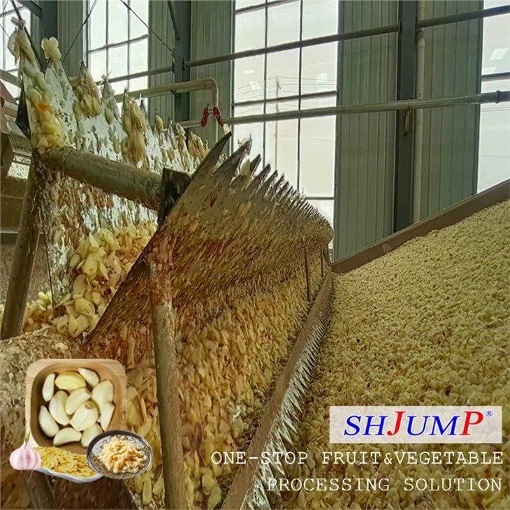 Garlic Processing Line