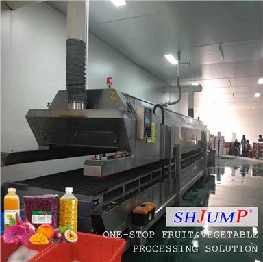 Frozen Pulp Processing Line