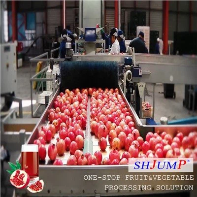 خط معالجة عصير الرمان