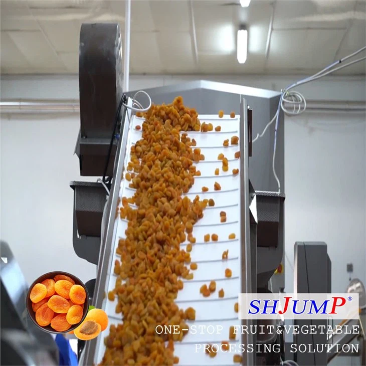 Dried Apricot Processing Line