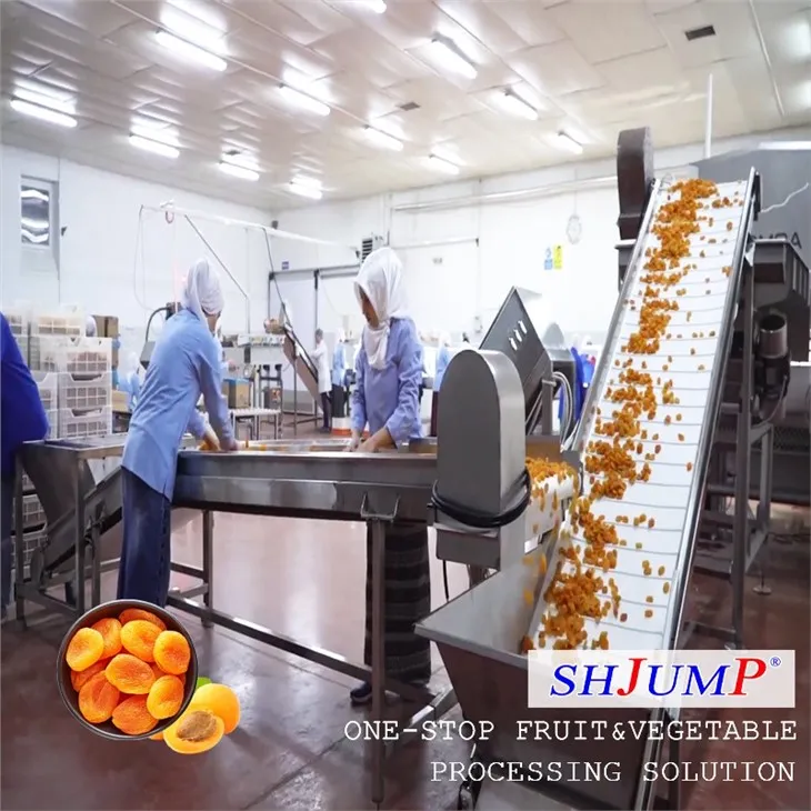 Dried Apricot Processing Line