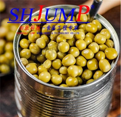 خط إنتاج الفول المعلب