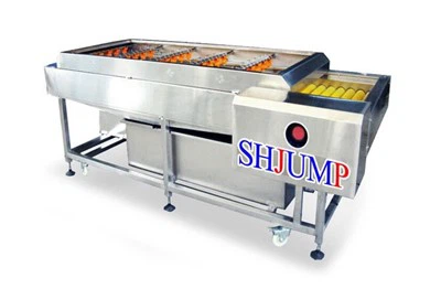 ماكينة تنظيف الخضار والفواكه