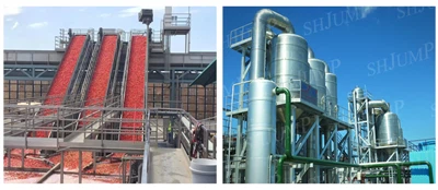 خط إنتاج تركيز معجون الطماطم بمحلول جاهز